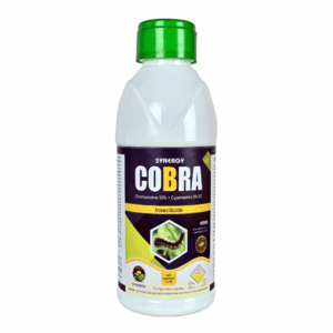 Cobra