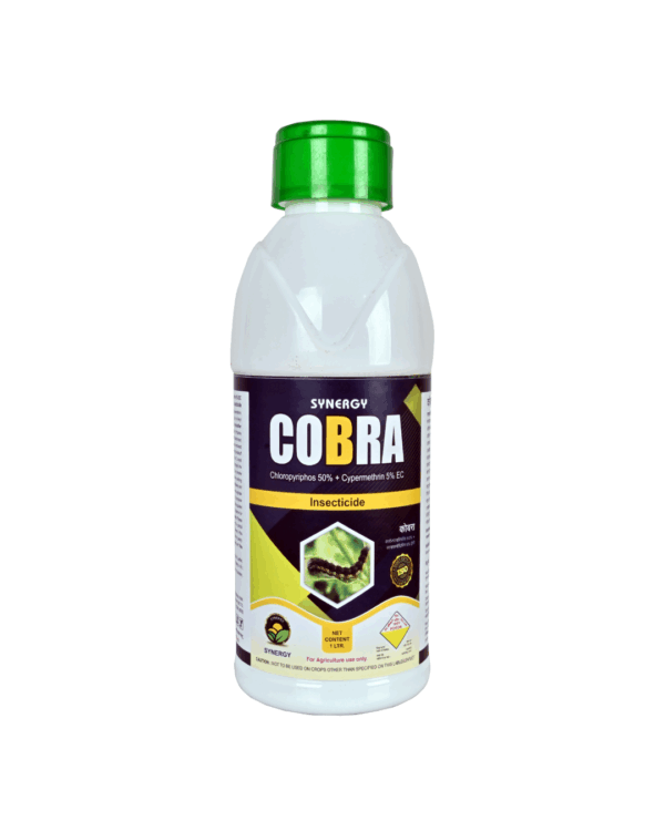 Cobra