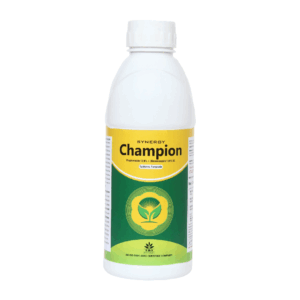 Champion