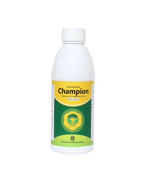 Champion
