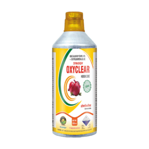 Quizalofop Ethyl 4% + Oxyfluorfen 6% EC